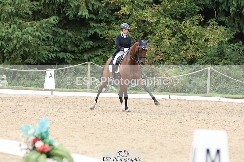 240810-151758-03954 - 231-Louise.Hutchinson-Donnarella