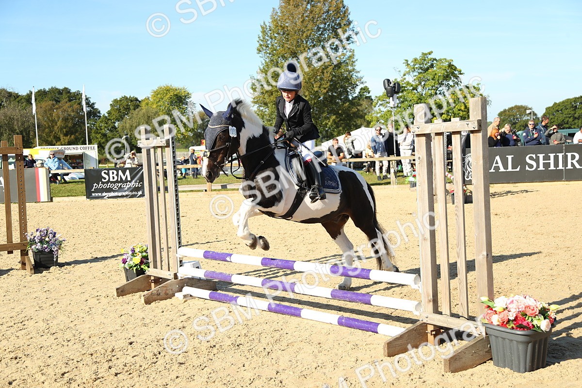 SBM_35901 - J5 - Junior Pony 50cm Championship