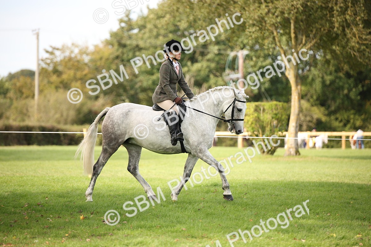SBM_70361 - S66 - Hunter Ridden