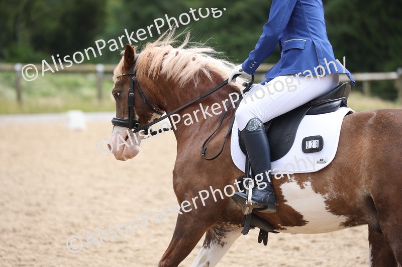 20250614-1509 - Class 7 - Elementary 2