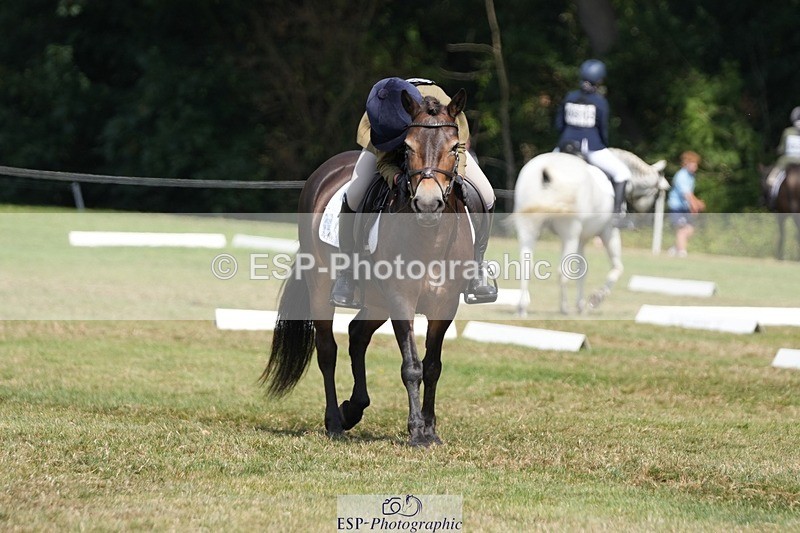 250823A-135136-31087 - Arena B