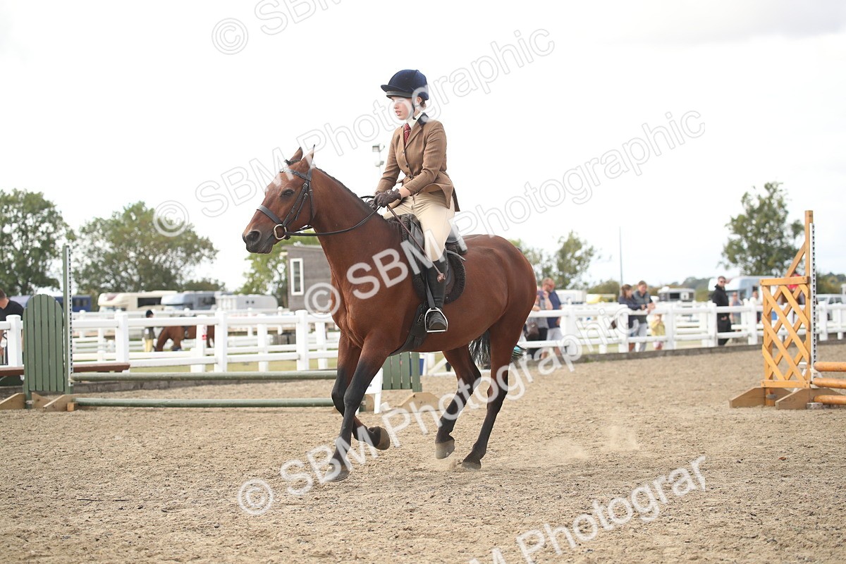 SBM_15292 - Class 506b - Working Veteran - 50cm (20+)