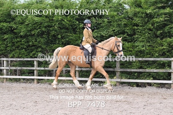 BPP_7478 - RING 1  (RIDDEN HORSES / IN HAND / VETERAN ETC)