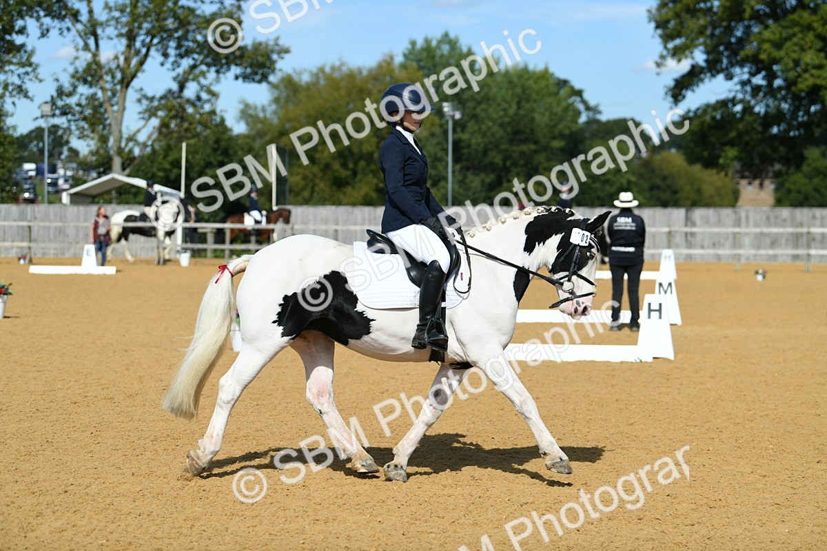 SBM_22680 - D13 - Grand Tour Championship - Prelim 12