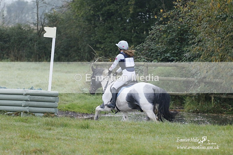 WWHT 171021 0419 - Novice Restricted (0.80m)  17/10/21