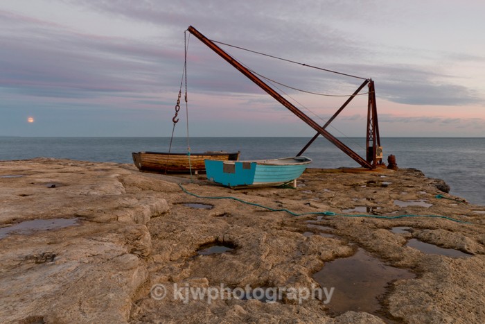 Red Crane - Gallery 9