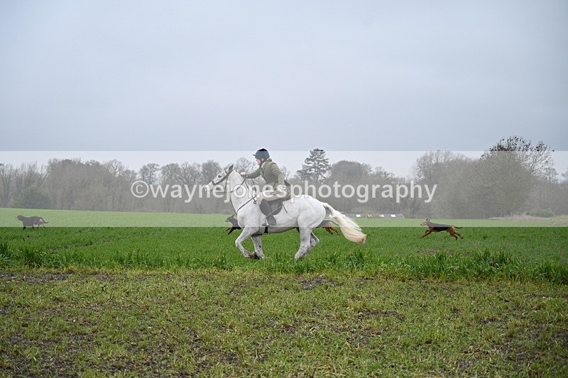 WJ7_9692 - Walk out..