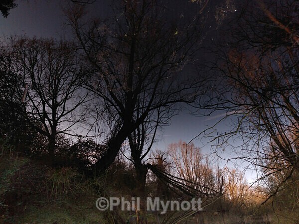 MynottART174 - Photo Mynott ART Images