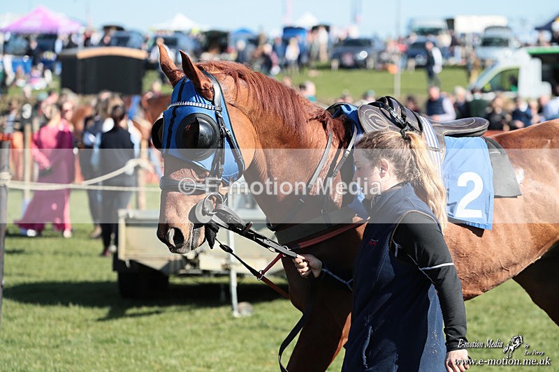 PtP 210326 206 - VWH Cirencester Races 21/03/26