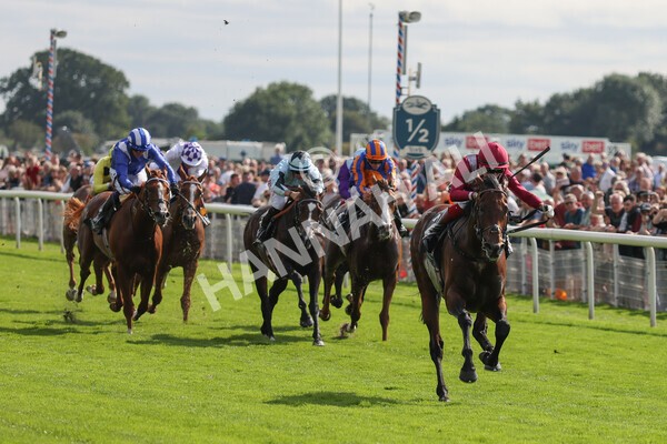 yr18082021r4-73 - Race 4 3.35pm Juddmonte International Stakes (British Champion Series race)