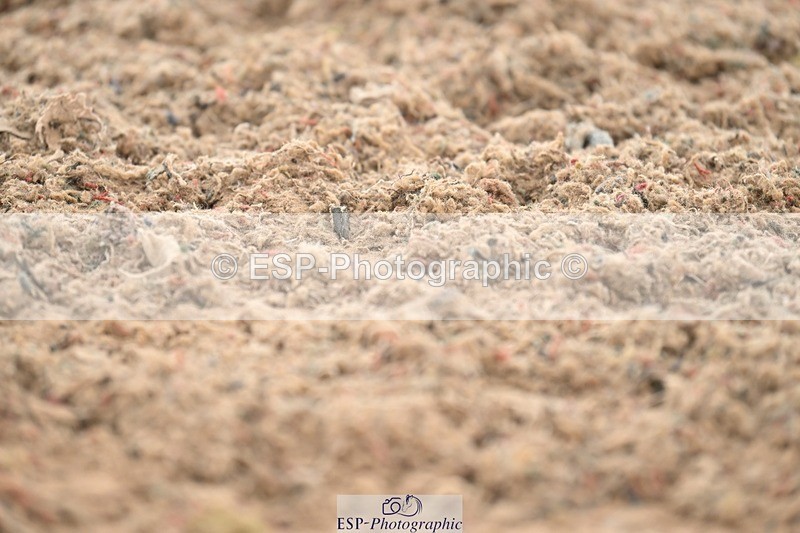 250705-175534-03259 - N3 Section BDNOV3 15.55 to 17.19