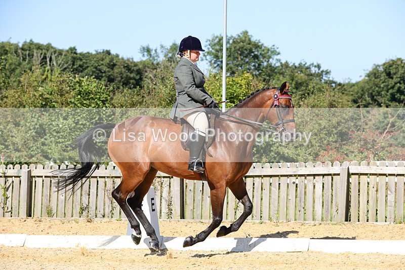 1X9A7892 - Class 10:Riding Horse