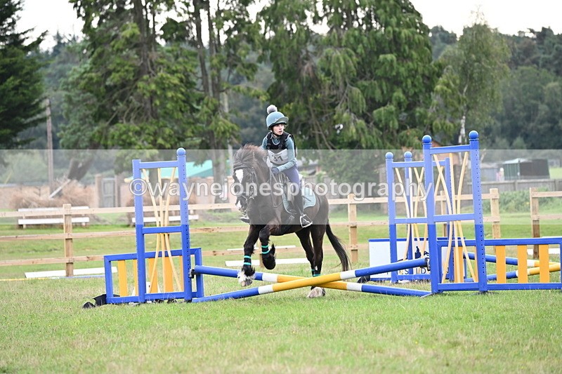 WJ6_0417 - 40cm Time 10:29 to 10:52