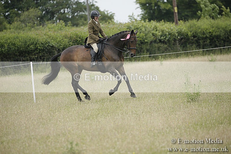 B230619-0813 - Bourne Valley Riding Club Summer Show 23/06/19