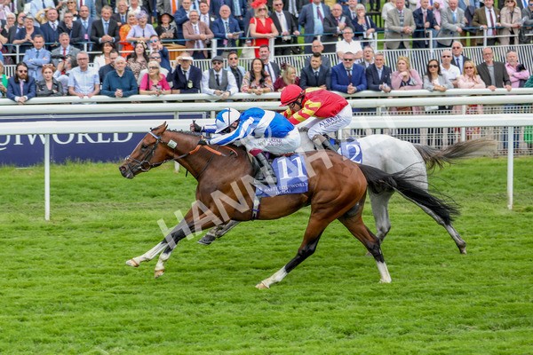180523-Race 4-The Foxes-7382 - Race 4 3.35pm Al Basti Equiworld Dubai Dante Stakes