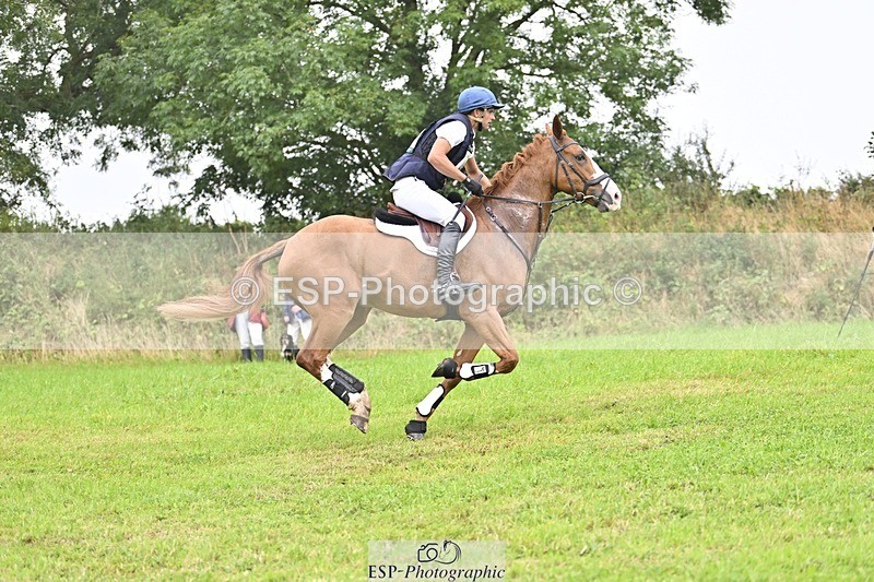 240901A-114350-06889 - 408-Joe.Roome-COLLIE.MOR.CHESTER