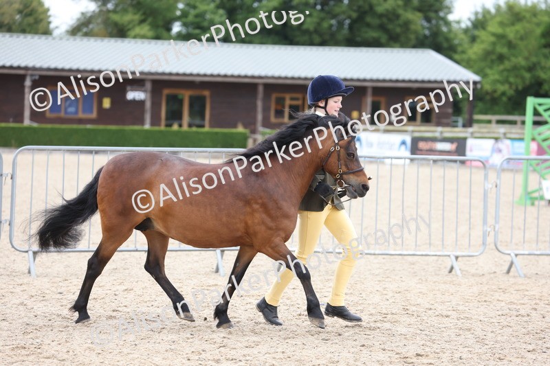 20250524-0830 - Class 7 - Veteran