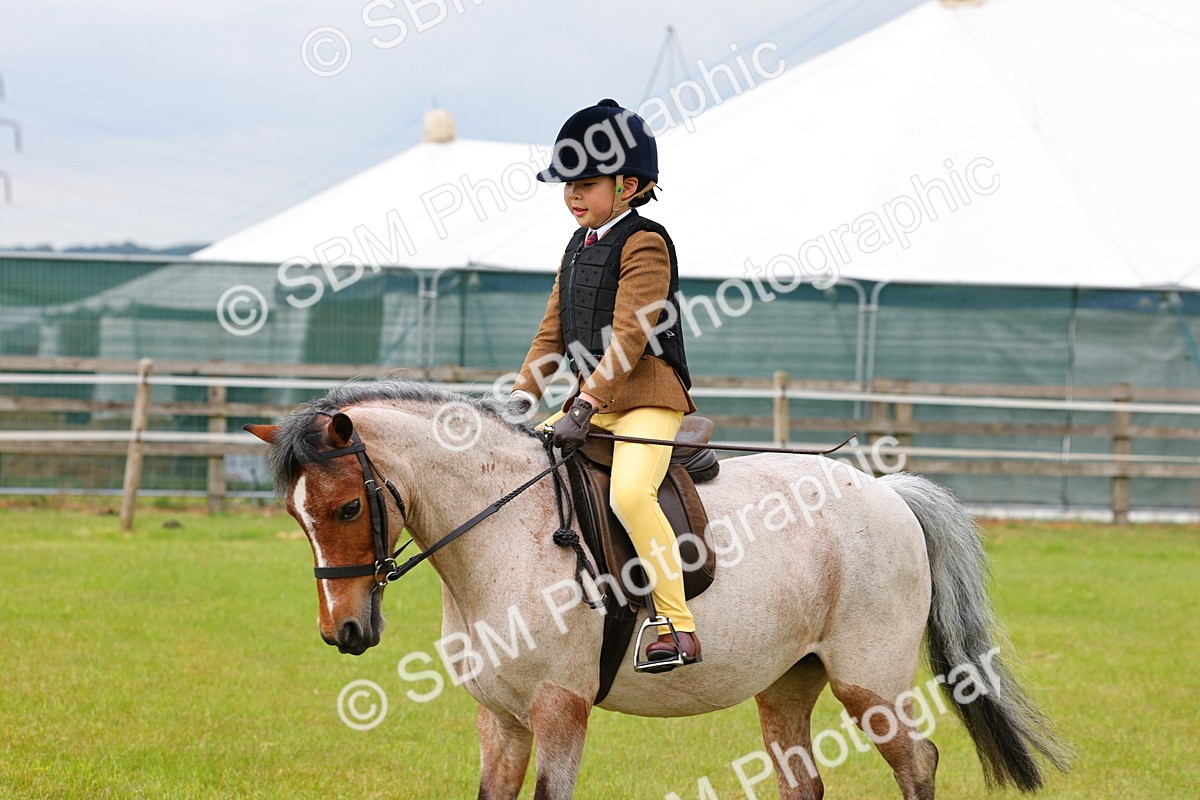 SBM_08587 - Class 42-43 - LIHS BSPS Heritage Working Sports Pony