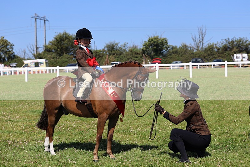 IMG_1853 - Plaited Mini Ridden Championship