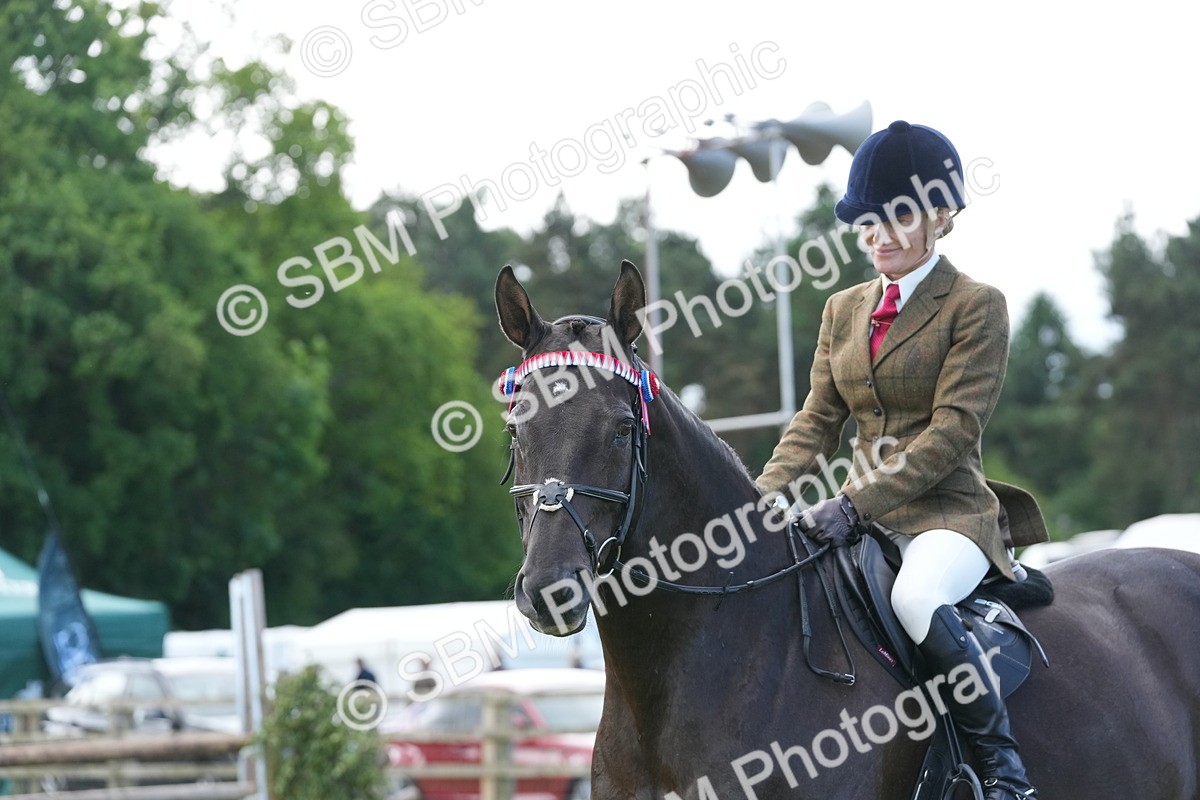 SBM_12962 - Class 99 - RIHS SEIB Working Show Horse