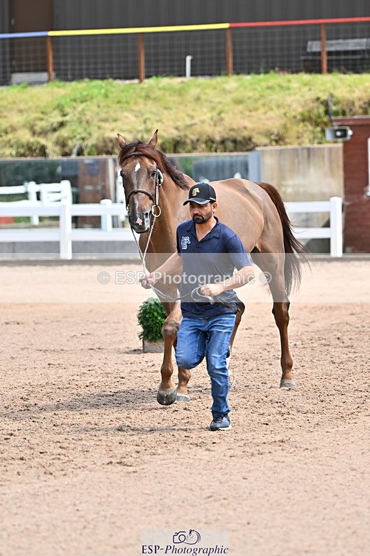 240718A-105304-01515 - Trot Up 12pm to 1pm