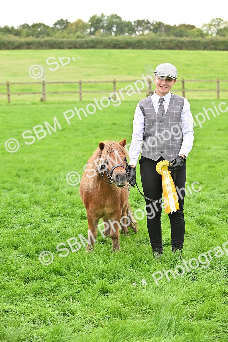 SBM_61088 - S48 - Mountain & Moorland In Hand Small Breeds