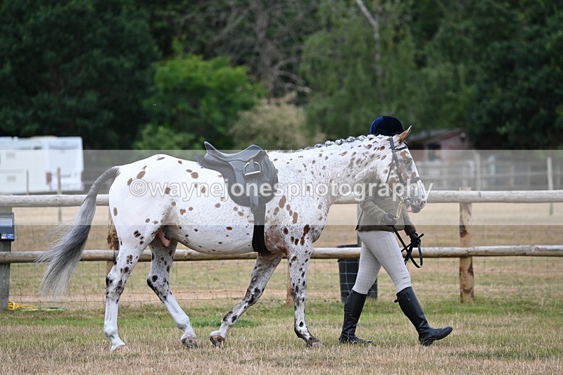WJ6_3718 - Class 9 Tack & Turnout