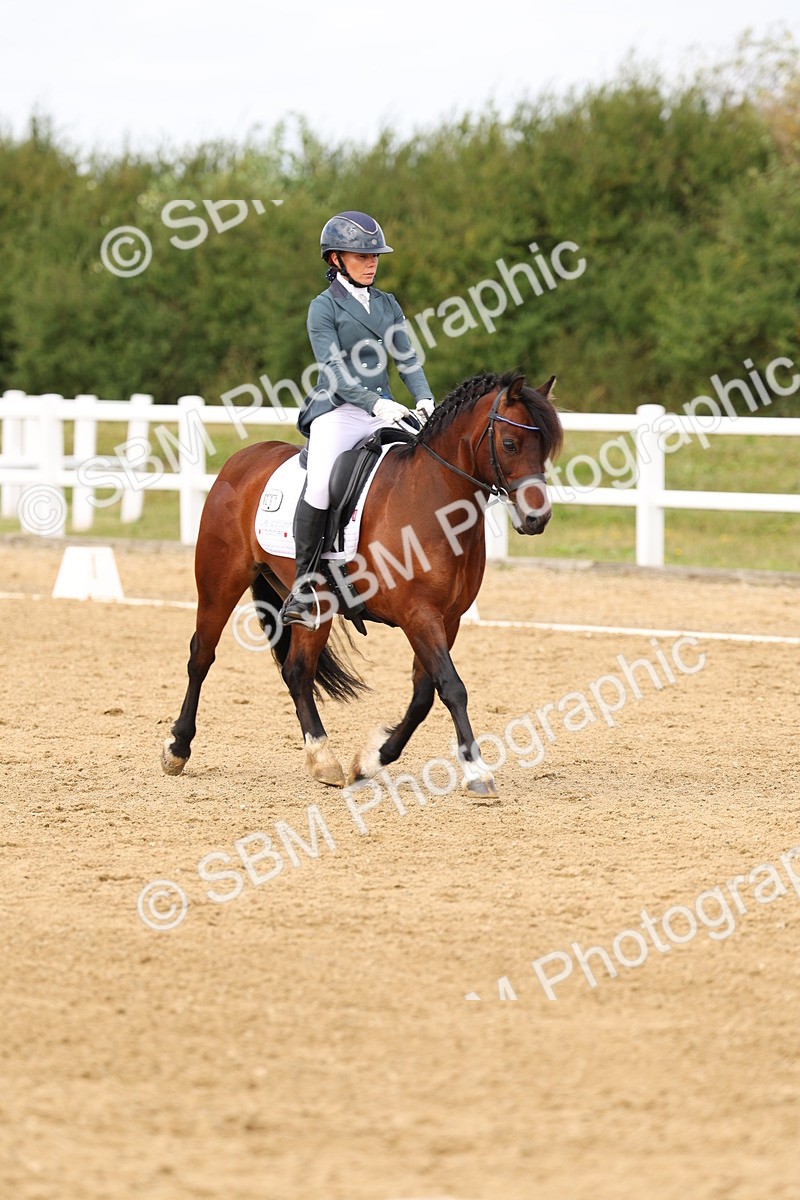 SBM_012417 - class 5 - Elementary 53 - 12.00-13.08