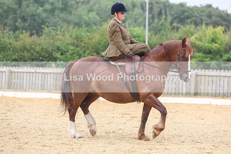 3E7A5470 - Class 2: Intro 4 2024 section B