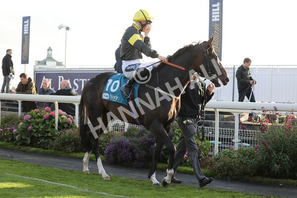 yr07102022r6-10 - Race 6 5.00pm William Hill Lengthen Your Odds EBF Novice Stakes