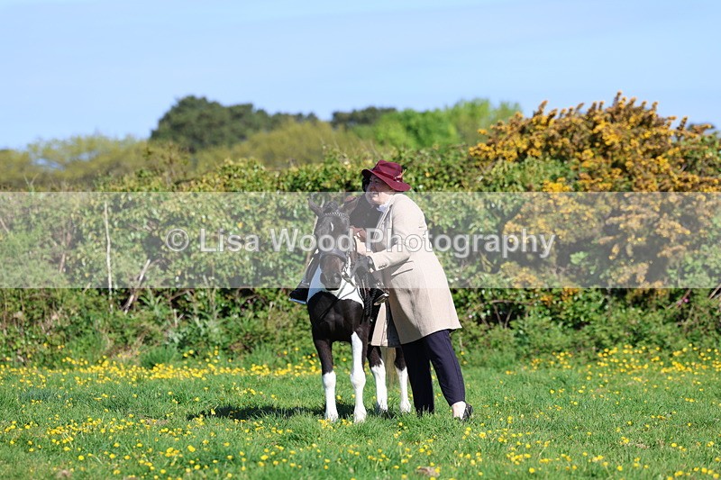 3E7A8869 - Class 2: Lead rein