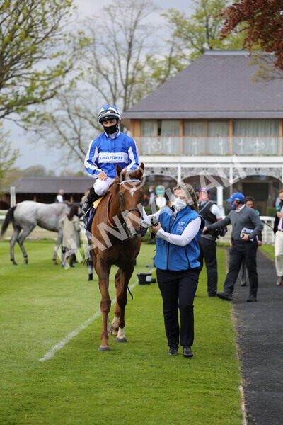 yr13052021r2-22 - Race 2 2.10pm Al Basti Equiworld Dubai Middleton Fillies' Stakes