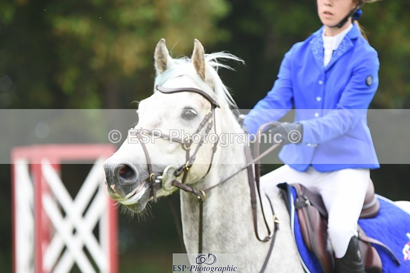 230618-111816-10797 - Cls 28 British Novice & 80cm Open