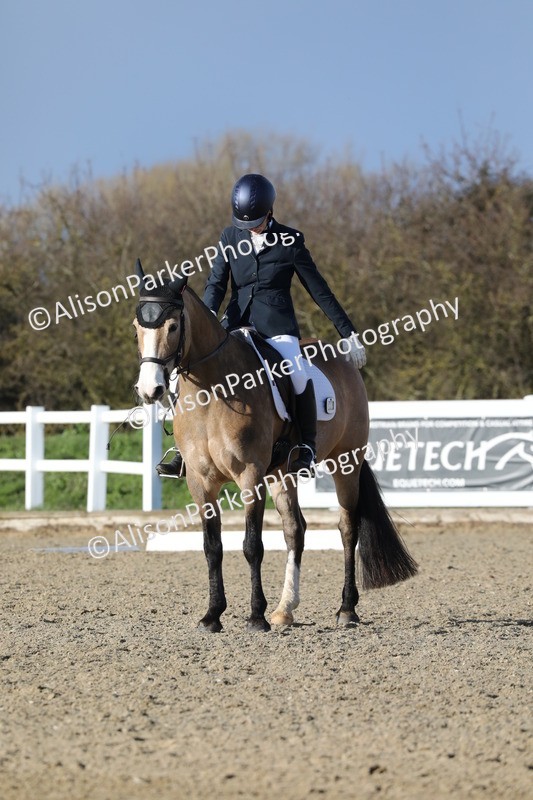 20260314-5861 - DR8 - Elementary 2