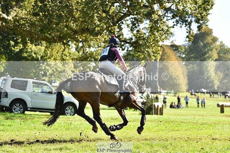 231022-115244-26134 - 261-TATTLER-Eugena.Barker-XC