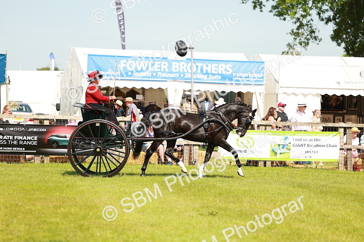 SBM_02847