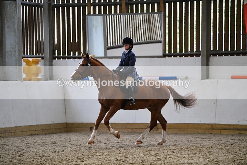 WJ5_7790 - Class 13 Ridden Part Breed