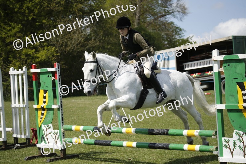 20250427-3650 - Class 14 - Absolute Novice 70cm