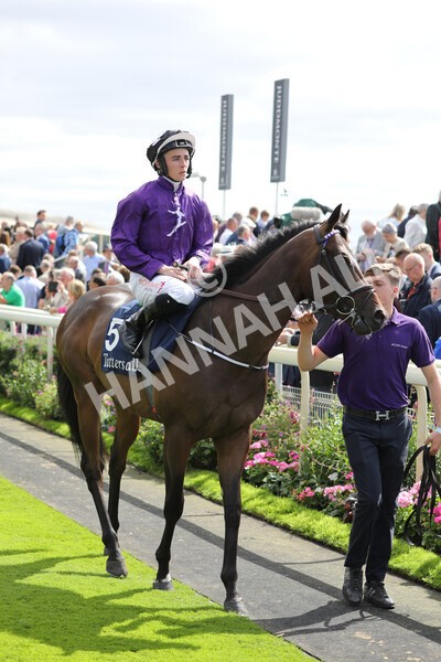 yr17082022r2-16 - Race 2 2.25pm Tattersalls Acomb Stakes