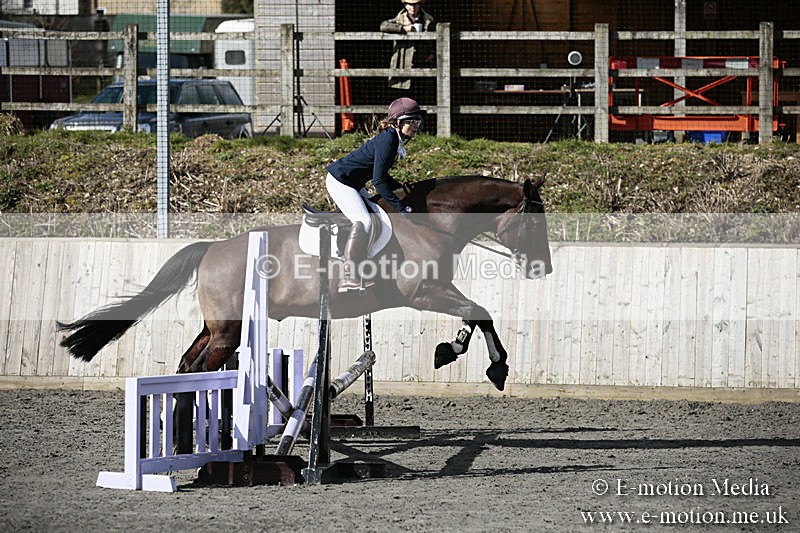 BVRC SJ 170319 97 - Bourne Valley Riding Club Showjumping 17/03/19