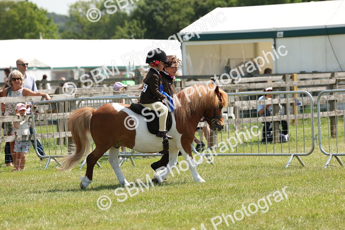 SBM_05405 - Class 24-25 - Mountain & Moorland In Hand Lead Rein and First Ridden