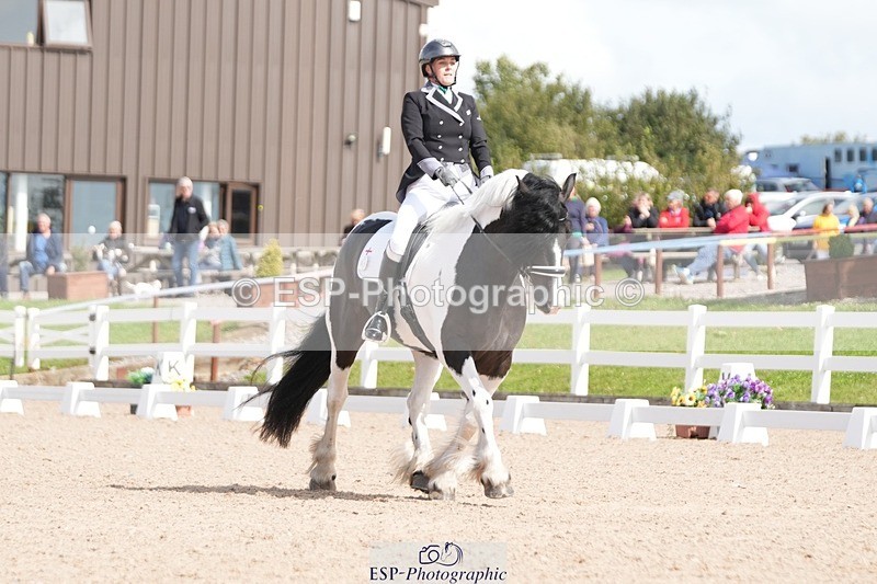 250906-123300-02213 - 014-Katrina.EllisSilverstor.IV