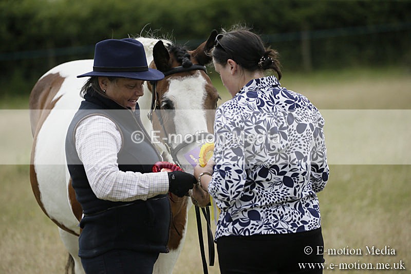 B230619-0699 - Bourne Valley Riding Club Summer Show 23/06/19