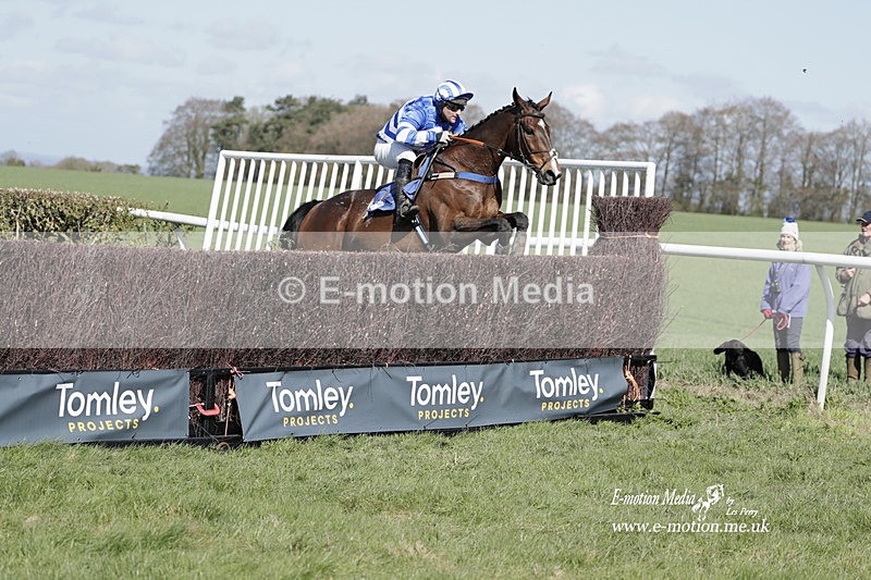 PtP 100423 648 - Old Berkshire Point-to-Point Lockinge 10/04/23