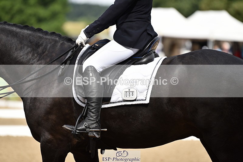 140109A-230808-08392 - 088-Carolyn.Galemully-brook.sylvester