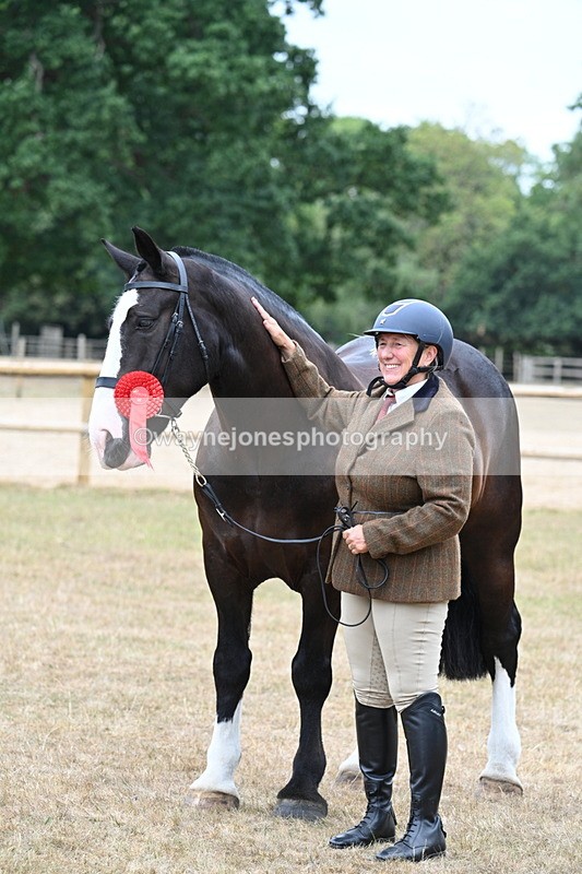 WJ7_0160 - Class 5a Most Handsome Gelding (above 14.2hh)