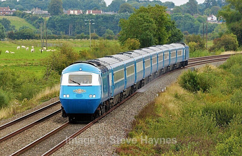 30th August 2021 - Curry Rivel (Oathe, Wick), Somerset