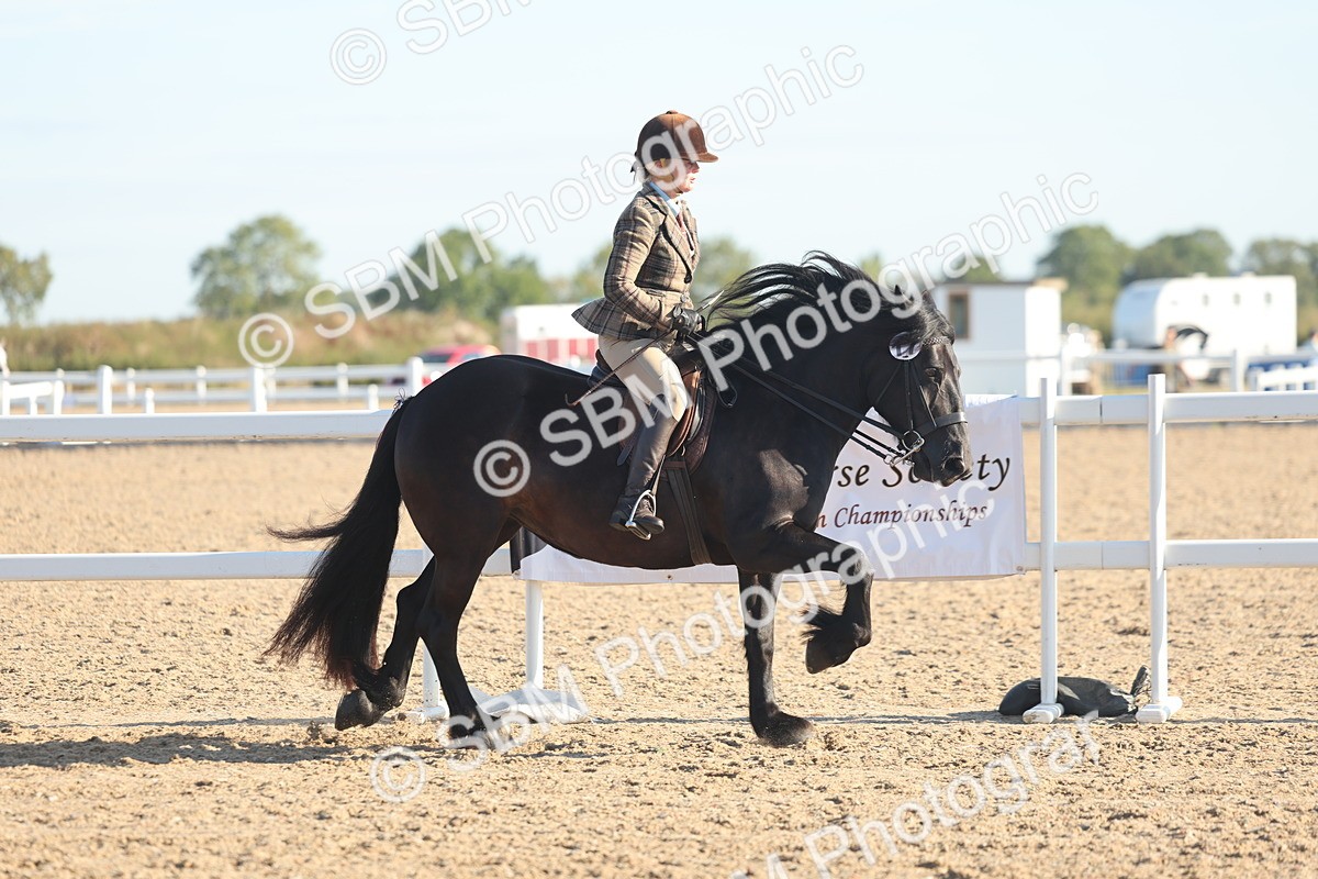 SBM_11002 - Class 302 - Ridden M&M Large Breeds