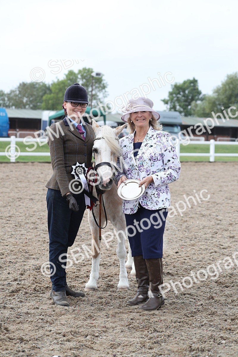 SBM_22567 - Class 604 - 2025 Area - IH Diamond