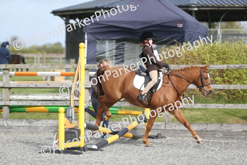 20260412-0090 - Show Jumping